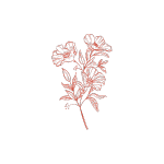 quintex blooms flowers.png