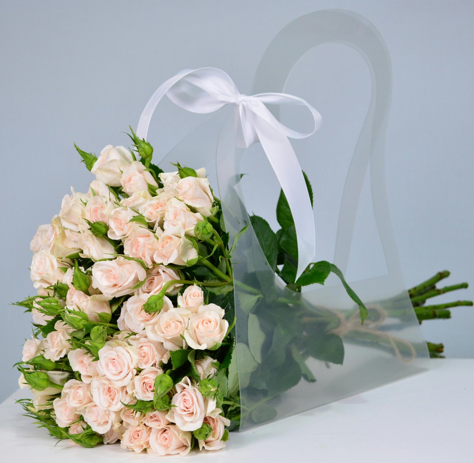 Beautiful bouquet of pale pink roses arranged in a stylish transparent bag with a white ribbon.