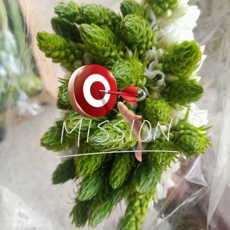 quintex blooms mission quintex blooms mission